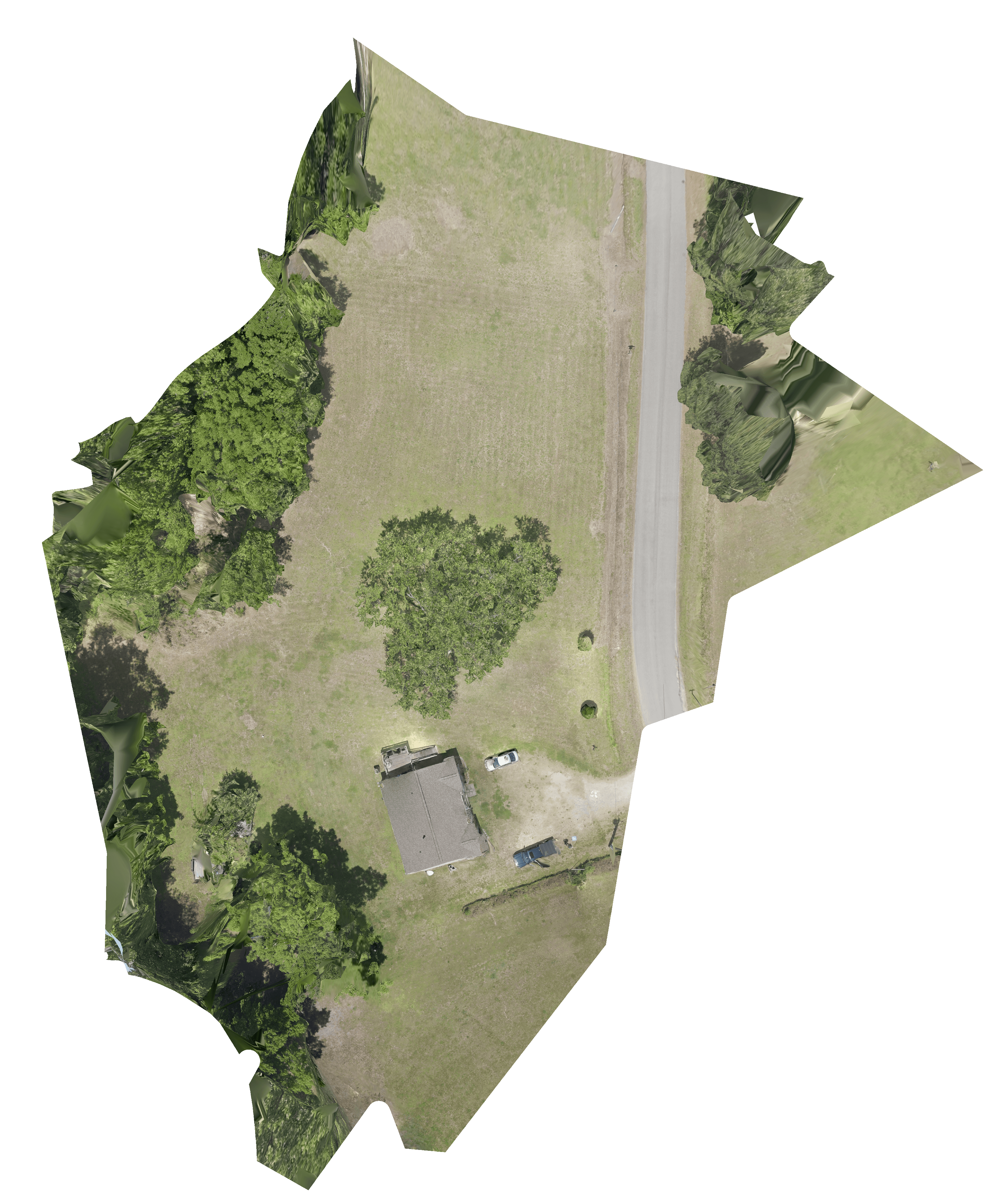 Deep Bottom Tree Survey